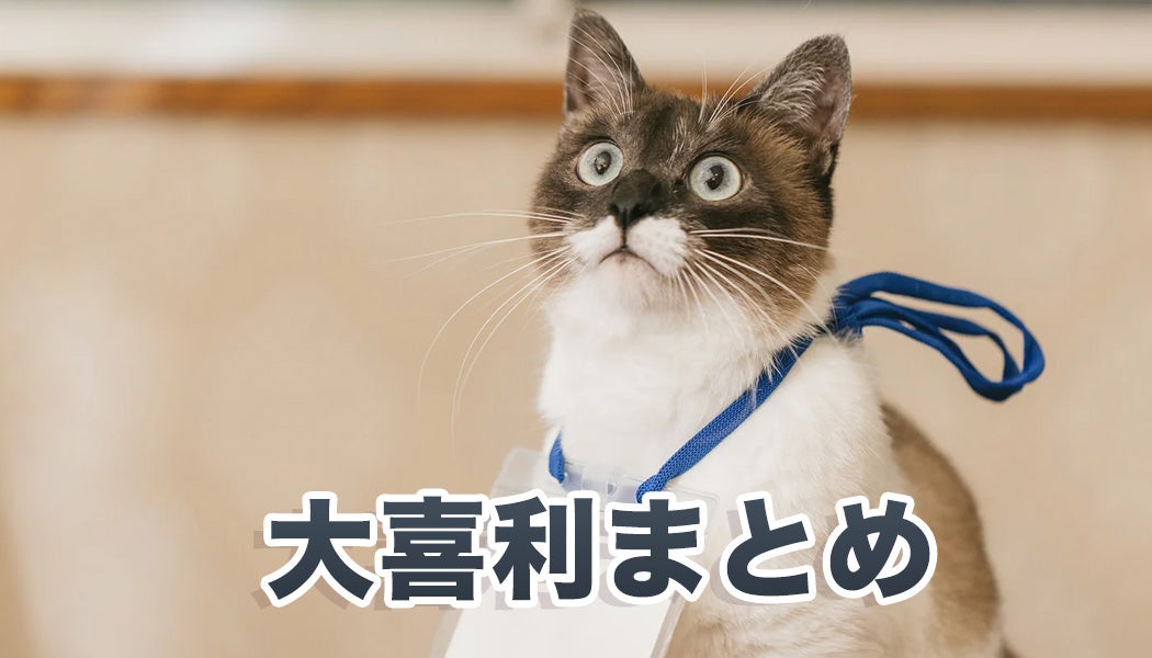 大喜利ネタのフリー素材まとめ｜おもしろ写真素材