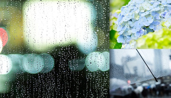 梅雨の時期に使える水滴や紫陽花の写真素材まとめ