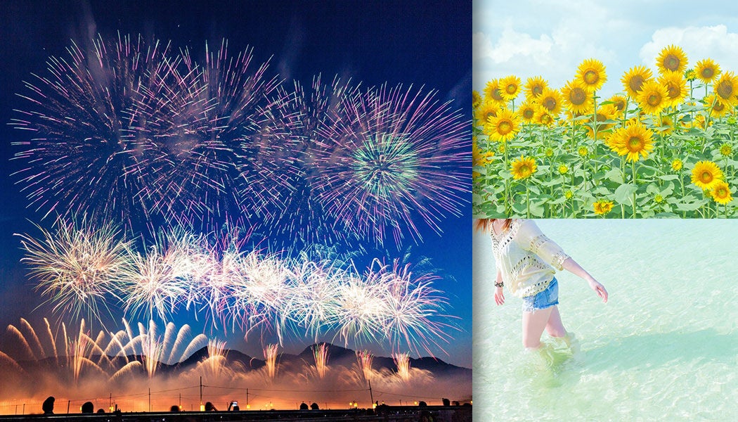 夏の季節！ 一面の向日葵畑や花火大会などの人気の写真素材