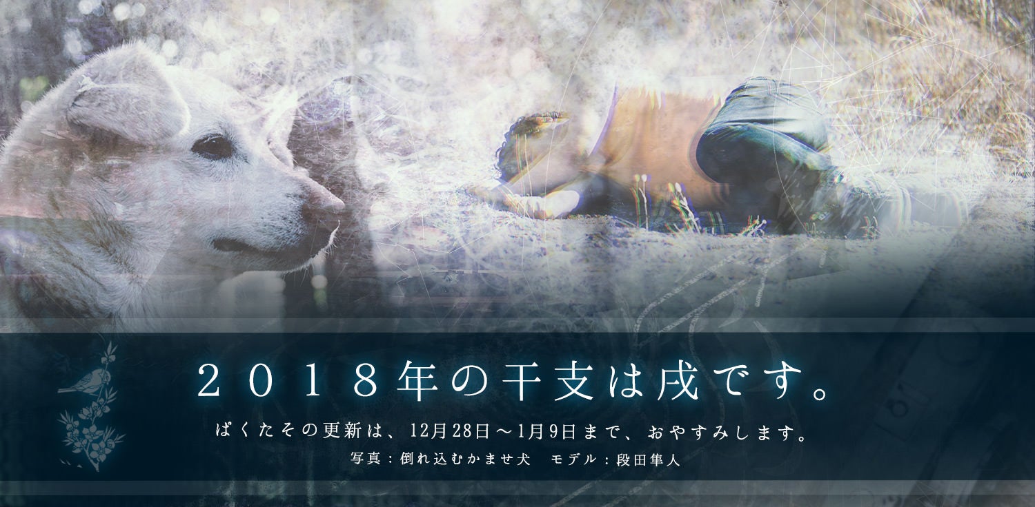 2017年もありがとうございました。運営7年目の一年を振り返る - ぱくた