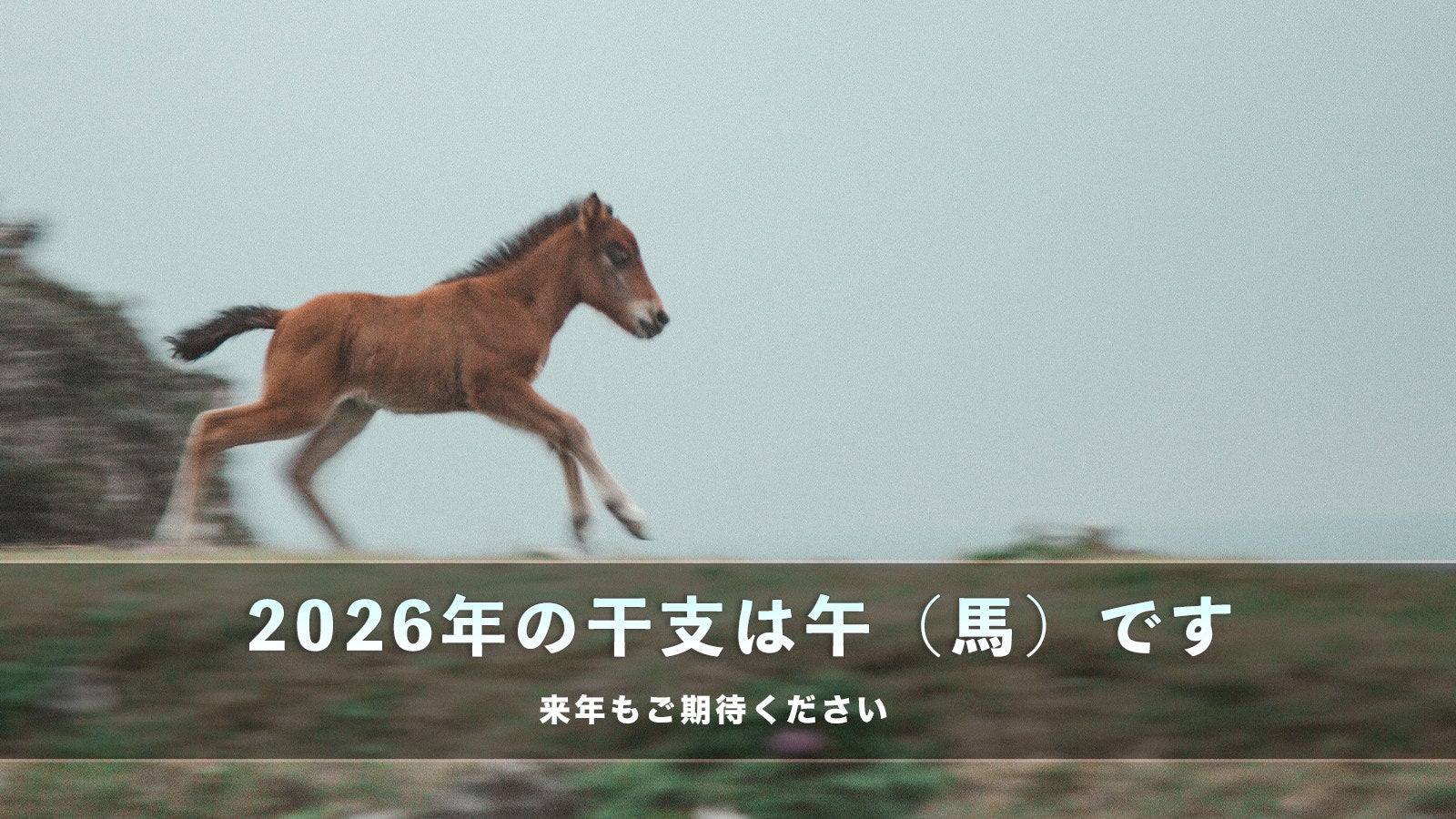 2024年もご利用ありがとうございました