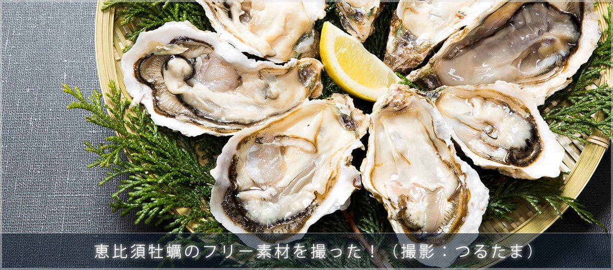 福岡の恵比須牡蠣18キロをフリー素材として撮影しました
