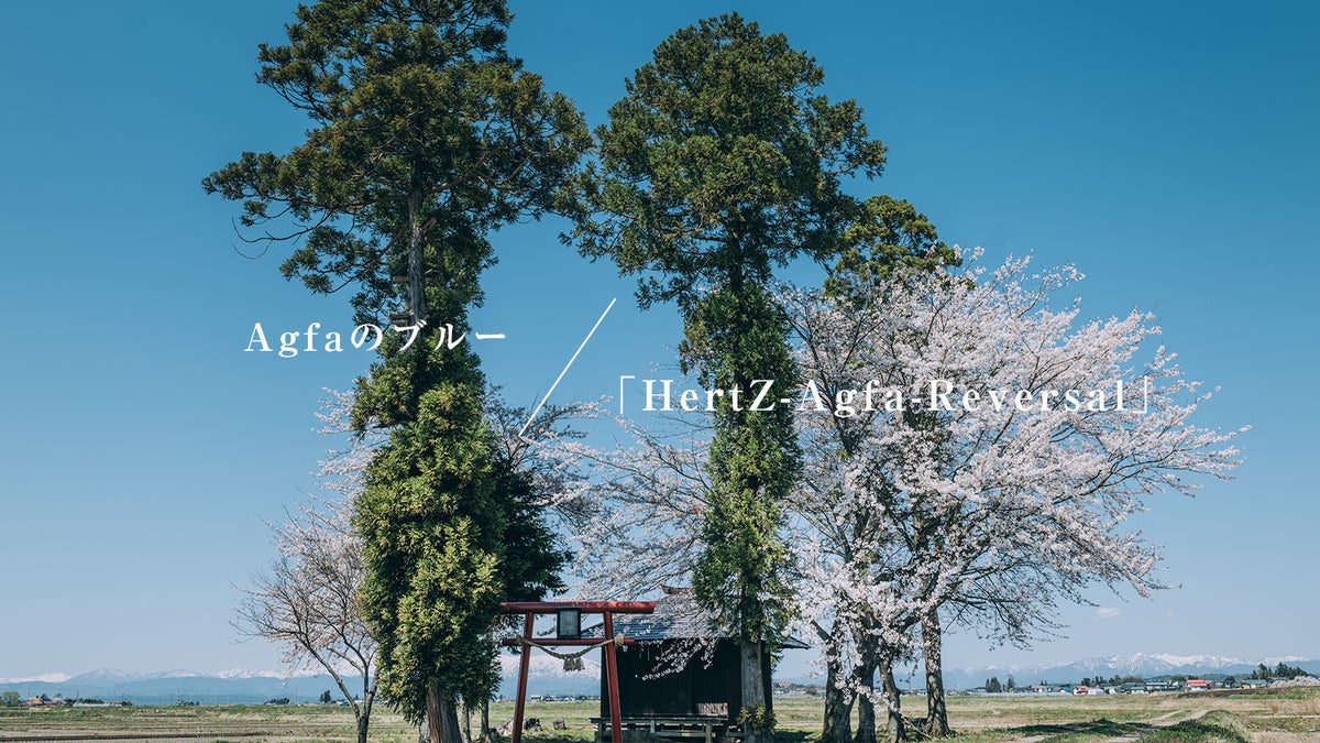 桜と城とAgfaブルー「HertZ-Agfa-Reversal 」プリセットの作例写真を追加