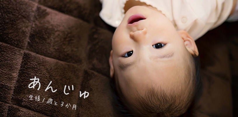 １歳の女の子（あんじゅ）の写真素材