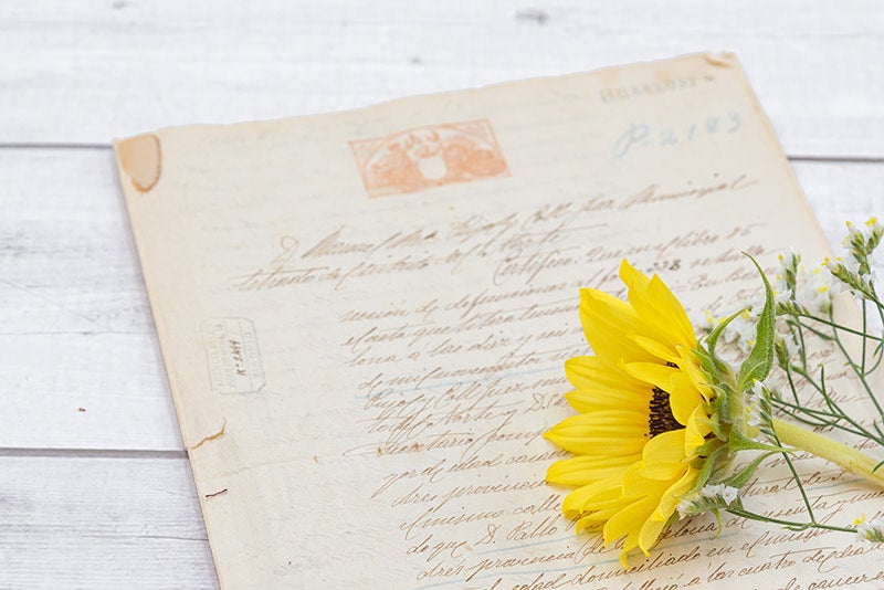 手紙に添えられた向日葵の花の写真素材