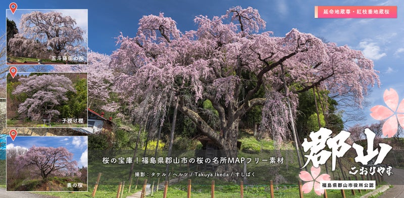桜の宝庫！福島県郡山市の桜の写真素材