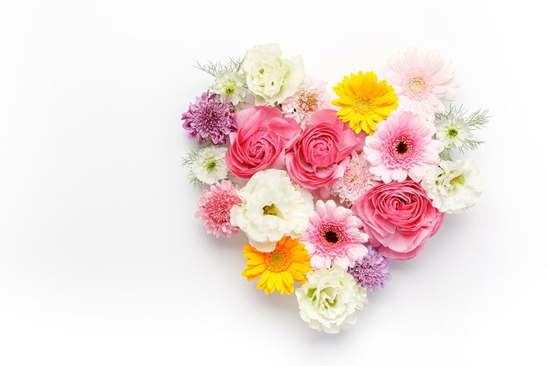 ハート型の花で愛情表現の写真素材