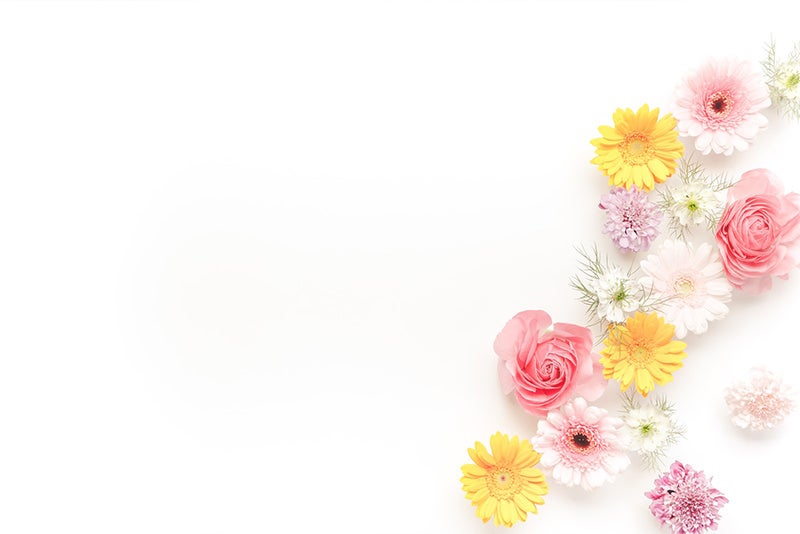 メッセージが入れやすい花の背景の写真素材