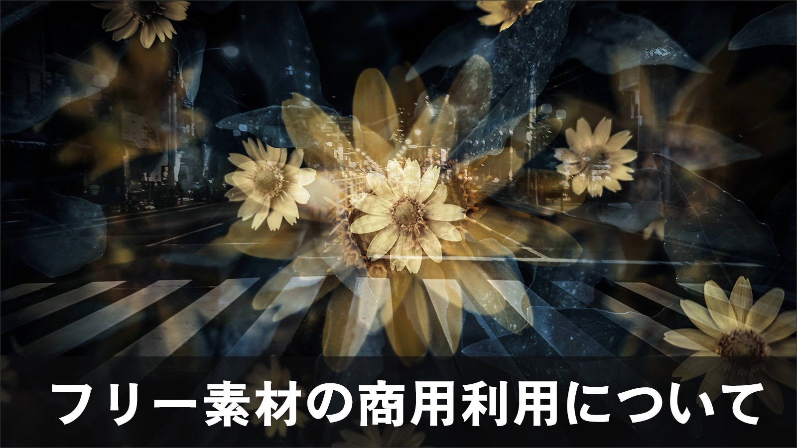 教育関係者の方はこちら(商業利用、個人利用) shoyoriyouimg.jpg?w=1200,h=auto