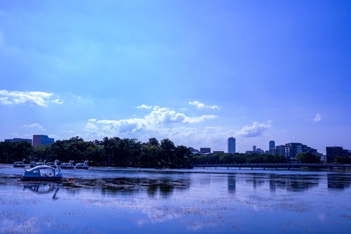 池のスワンボートと青い空の写真