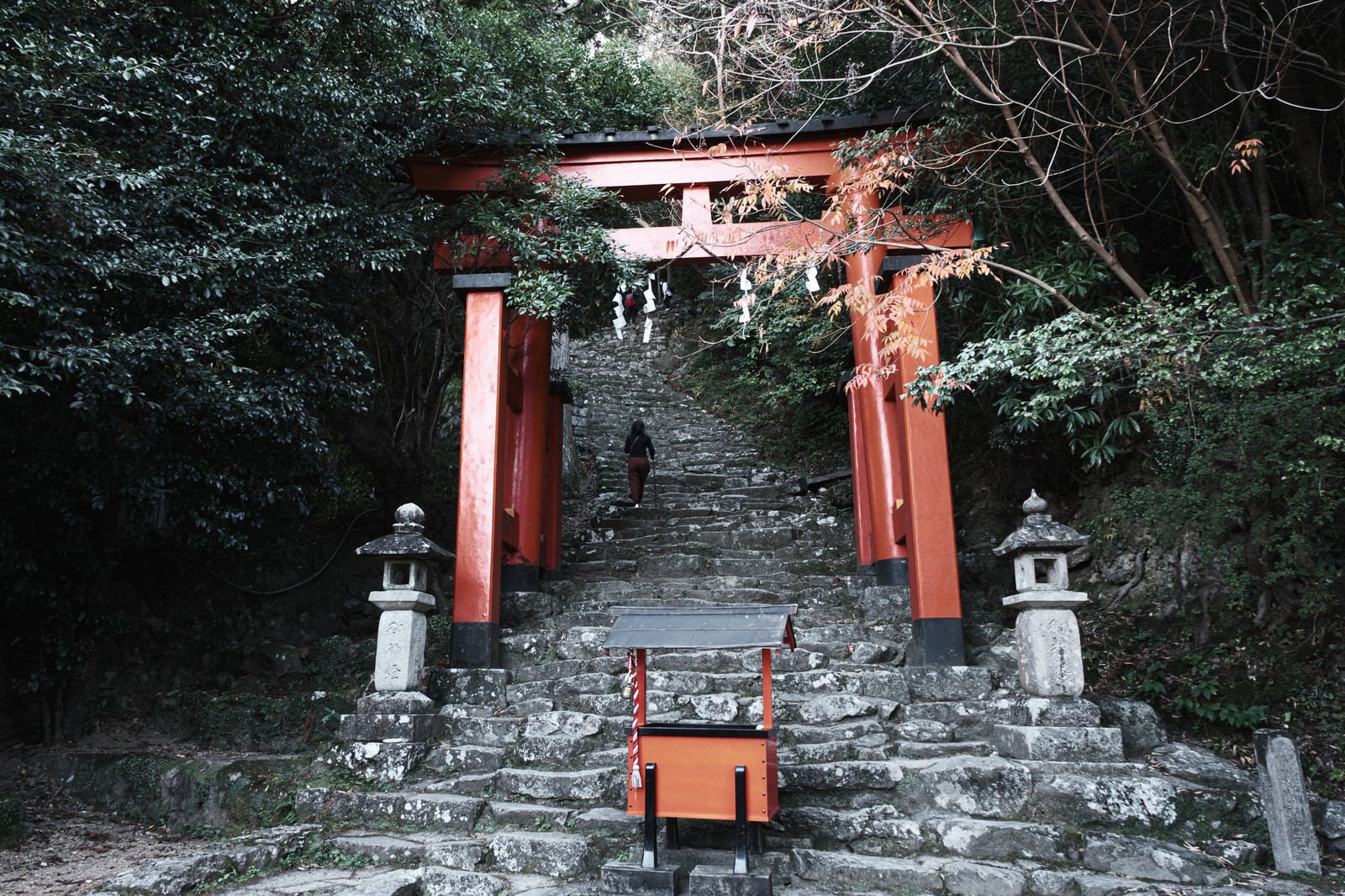 「神倉神社の赤い鳥居と石段（和歌山県新宮市）」の写真