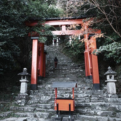 神倉神社の赤い鳥居と石段（和歌山県新宮市）の写真