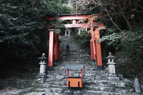 神倉神社の赤い鳥居と石段（和歌山県新宮市）の写真