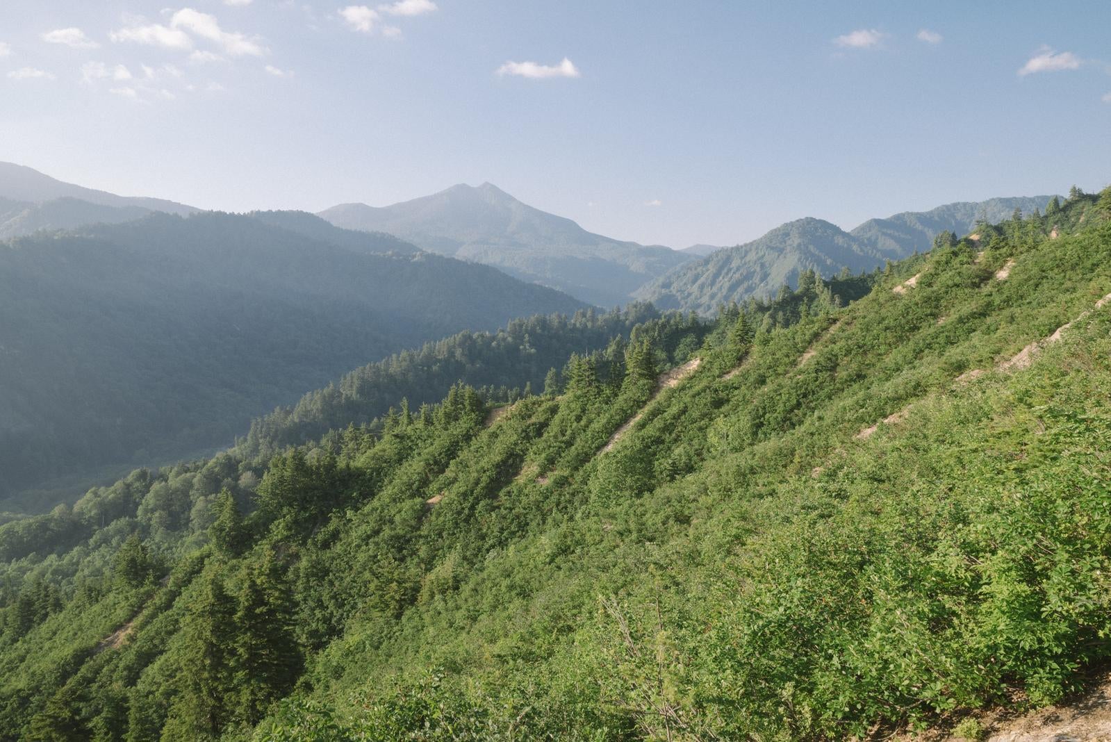 「台倉山へ向かう道から見える燧ヶ岳」の写真