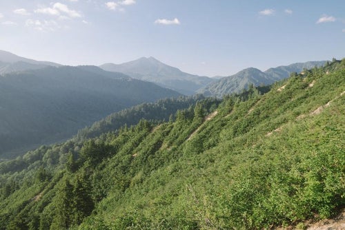 台倉山へ向かう道から見える燧ヶ岳の写真