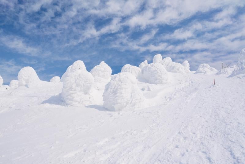 モコモコとかわいい蔵王の樹氷の写真