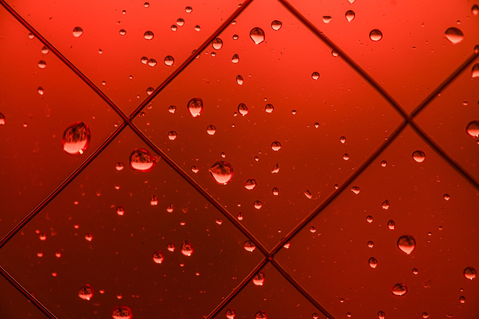 「赤い窓と水滴」の写真