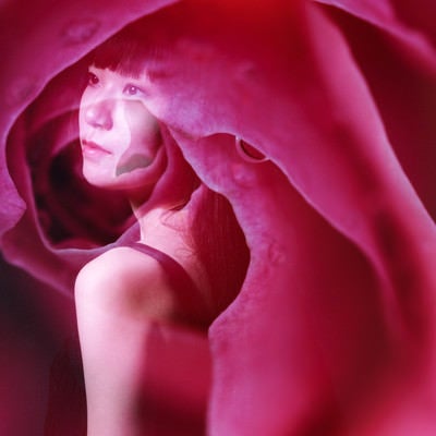 バラに包まれる女性（フォトモンタージュ）の写真