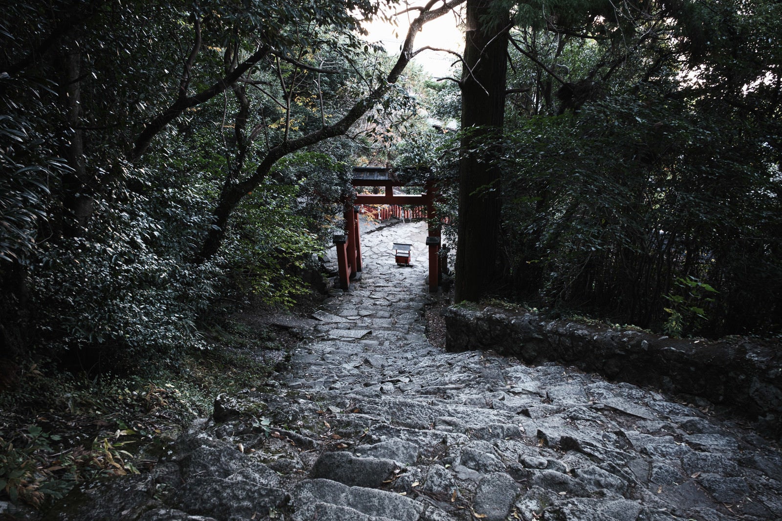 「石段の先に見える赤い鳥居（神倉神社）」の写真