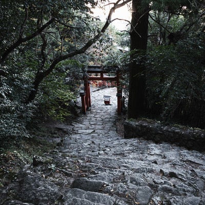 石段の先に見える赤い鳥居（神倉神社）の写真