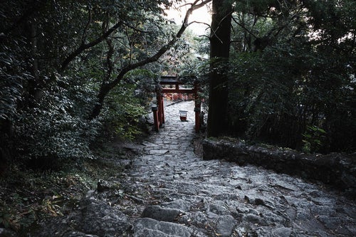 石段の先に見える赤い鳥居（神倉神社）の写真