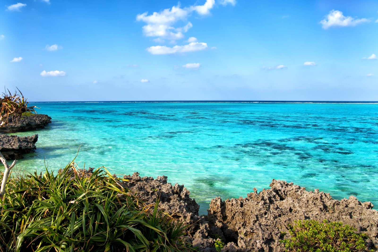 「サンゴ礁の海」の写真