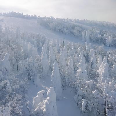 ロープウェイから眺める蔵王の樹氷の写真