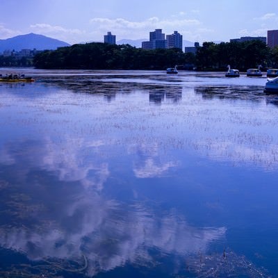 湖面に映る青空とスワンボートの写真