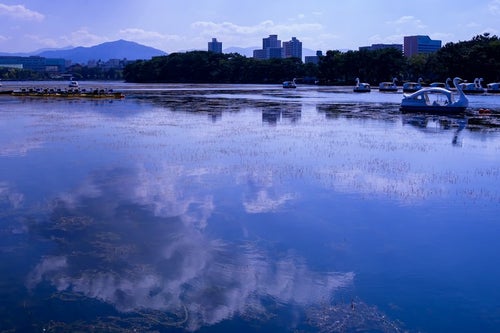 湖面に映る青空とスワンボートの写真