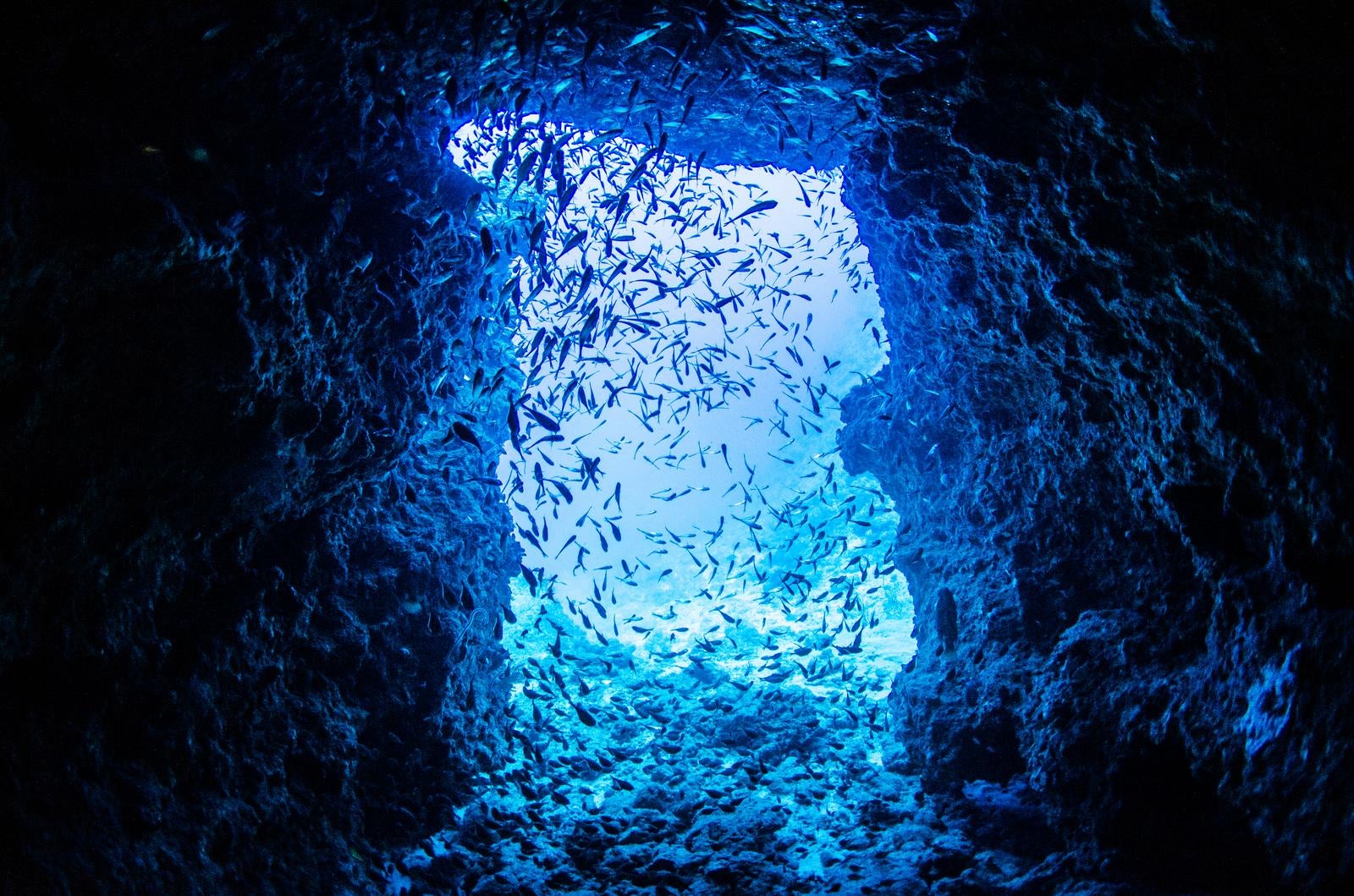 「万座ドリームホールの水中洞窟」の写真