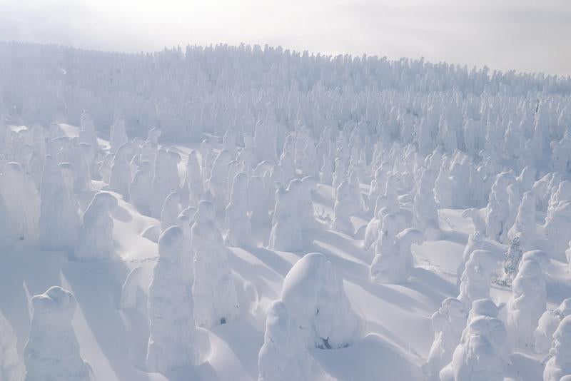 ロープウェイから見下ろす樹氷が彩る壮大な雪の世界の写真