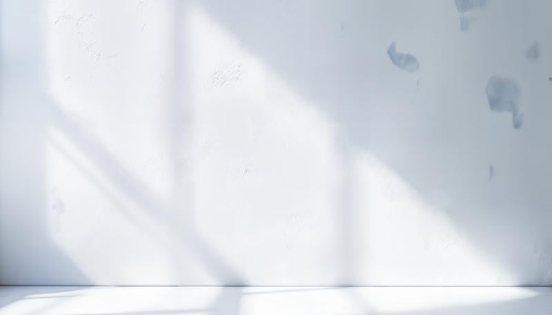 自然光が差し込む白い壁と床