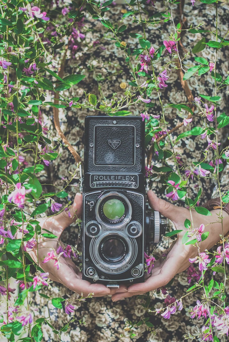 「ローライフレックスのカメラを持つ女性の手」の写真