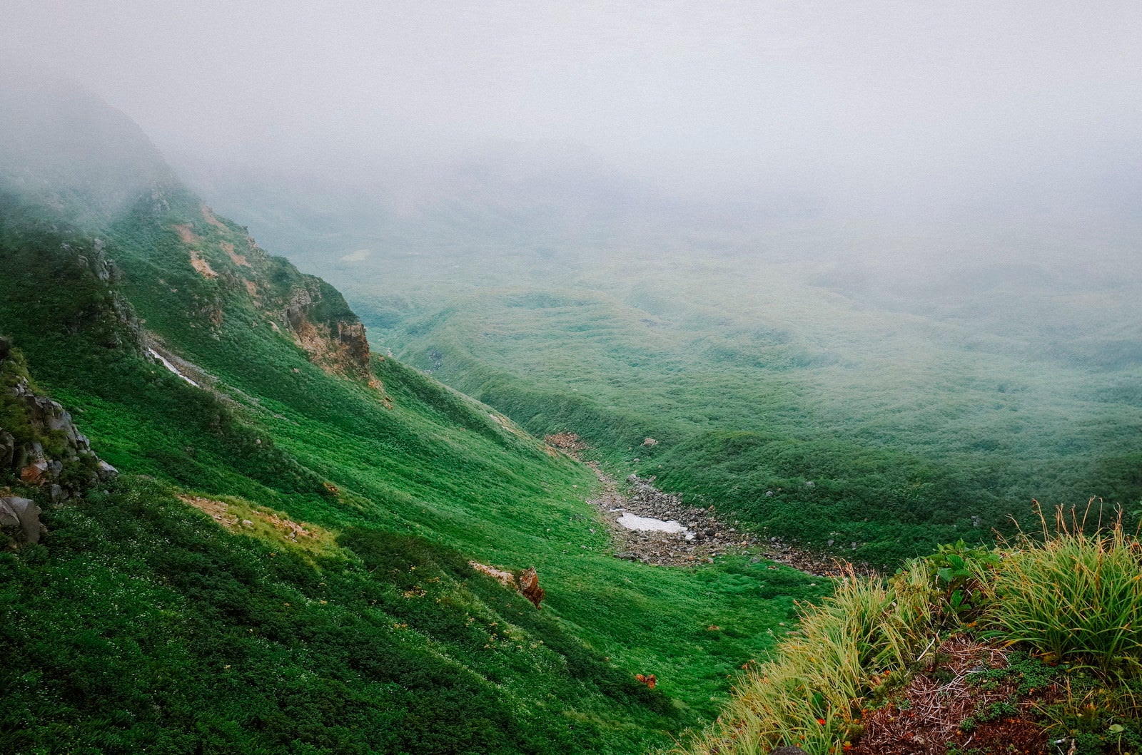 「濃いガスに包まれる鳥海山の山肌」の写真