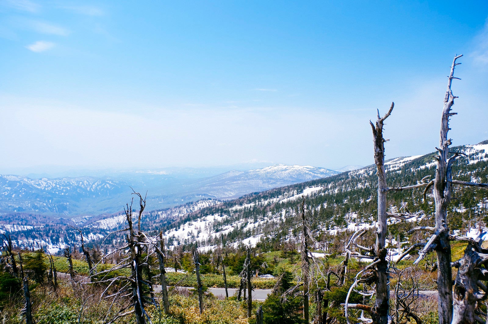 「雪が残る八幡平の稜線」の写真