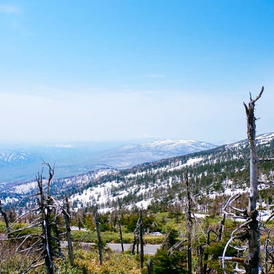 雪が残る八幡平の稜線の写真