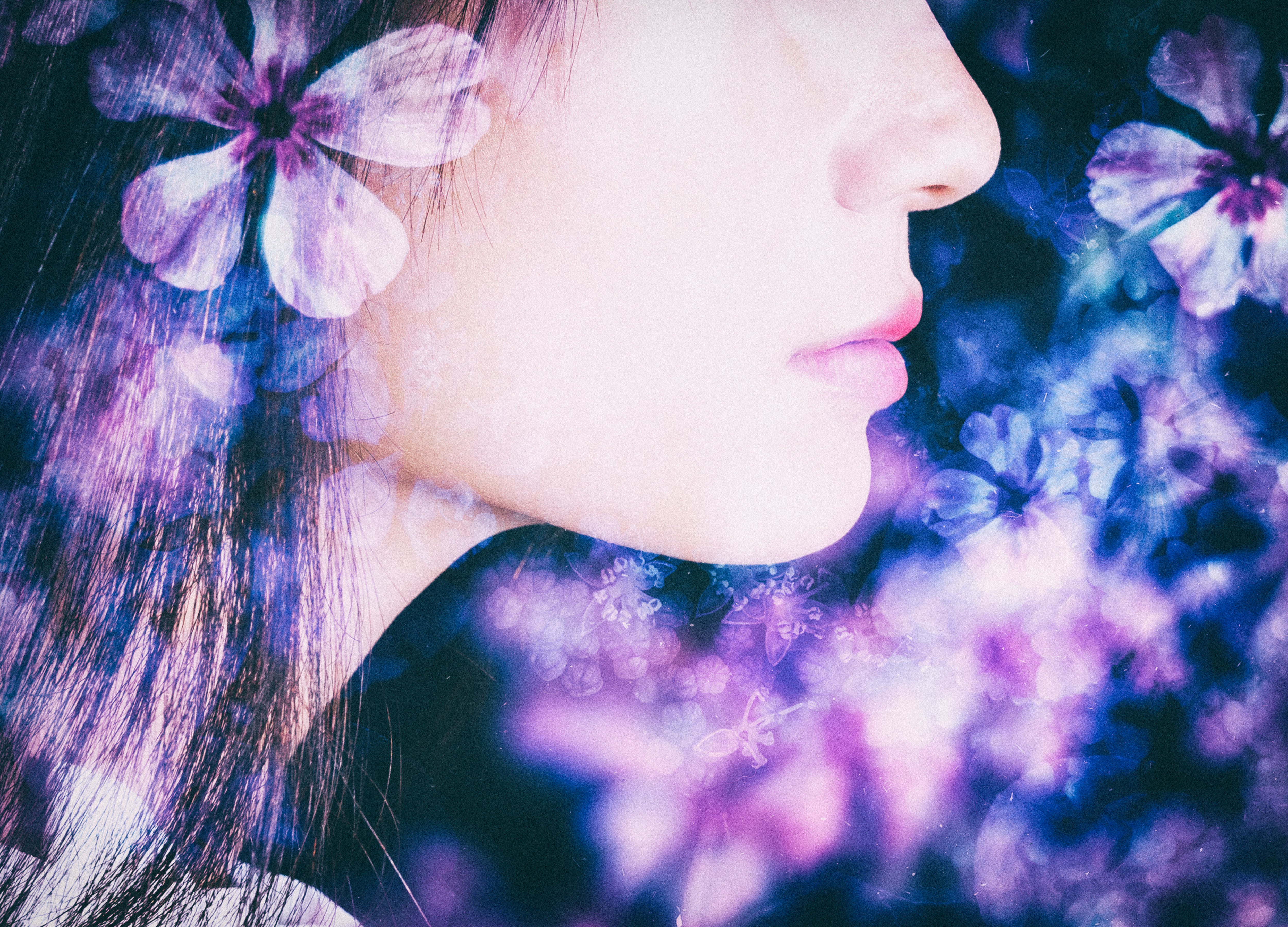 女性像横顔 42,635 女性 横顔 白人 Stock Photos, High-Res Pictures, and