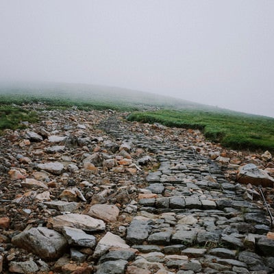 霧に包まれた石段の登山道（鳥海山）の写真