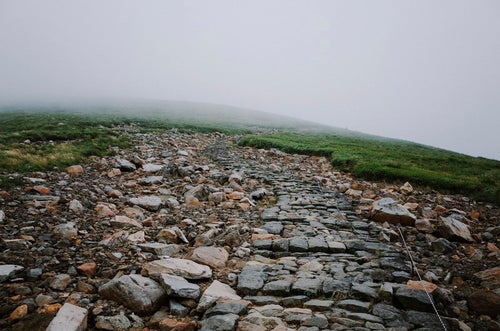 霧に包まれた石段の登山道（鳥海山）の写真