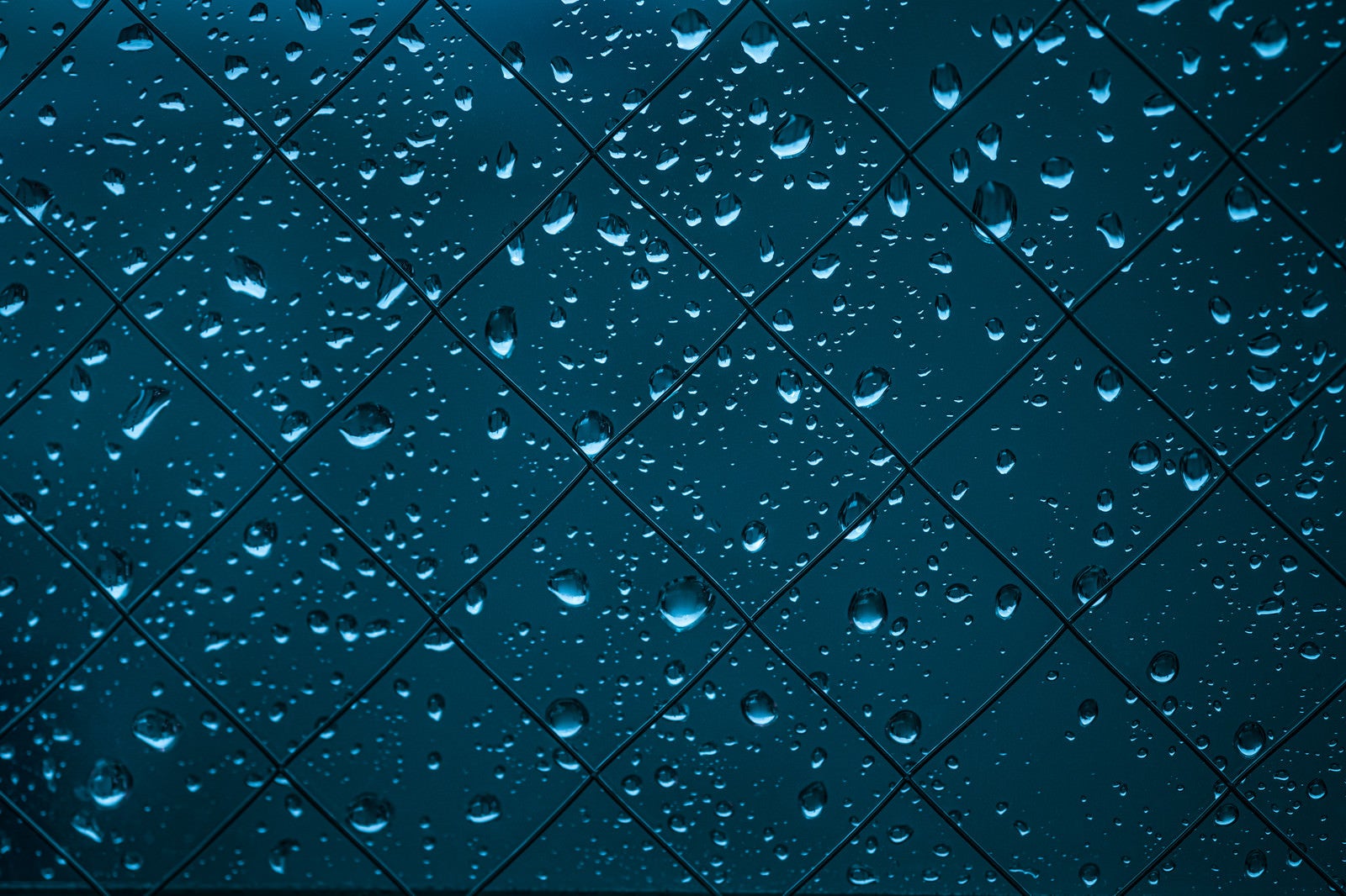 「雨が降った窓の水滴」の写真