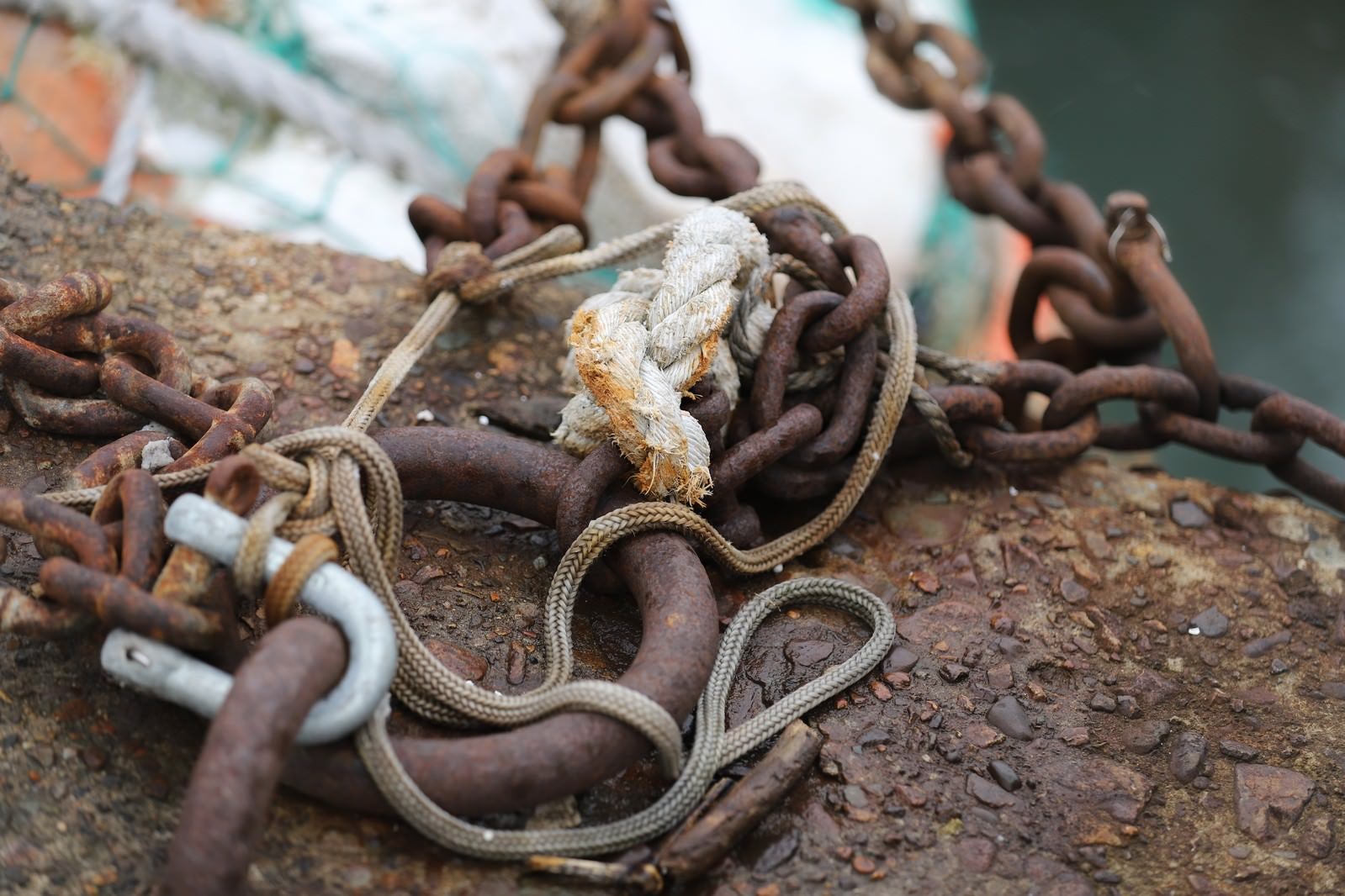 「船着き場の鎖とロープ」の写真