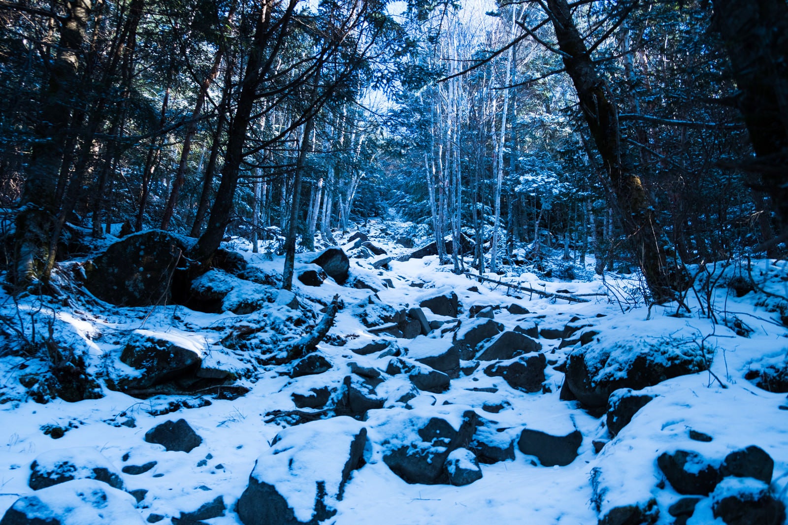 「冬の蓼科山（たてしなやま）登山道」の写真