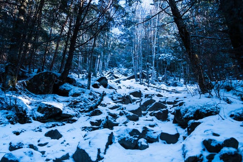 冬の蓼科山（たてしなやま）登山道の写真