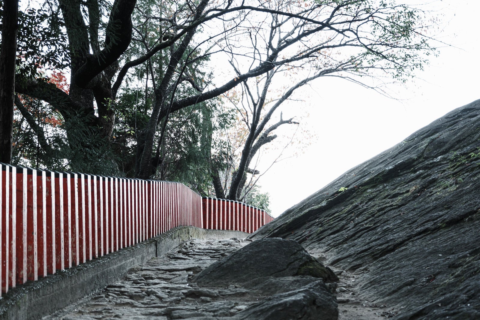 「柵沿いの石畳の道（神倉神社）」の写真