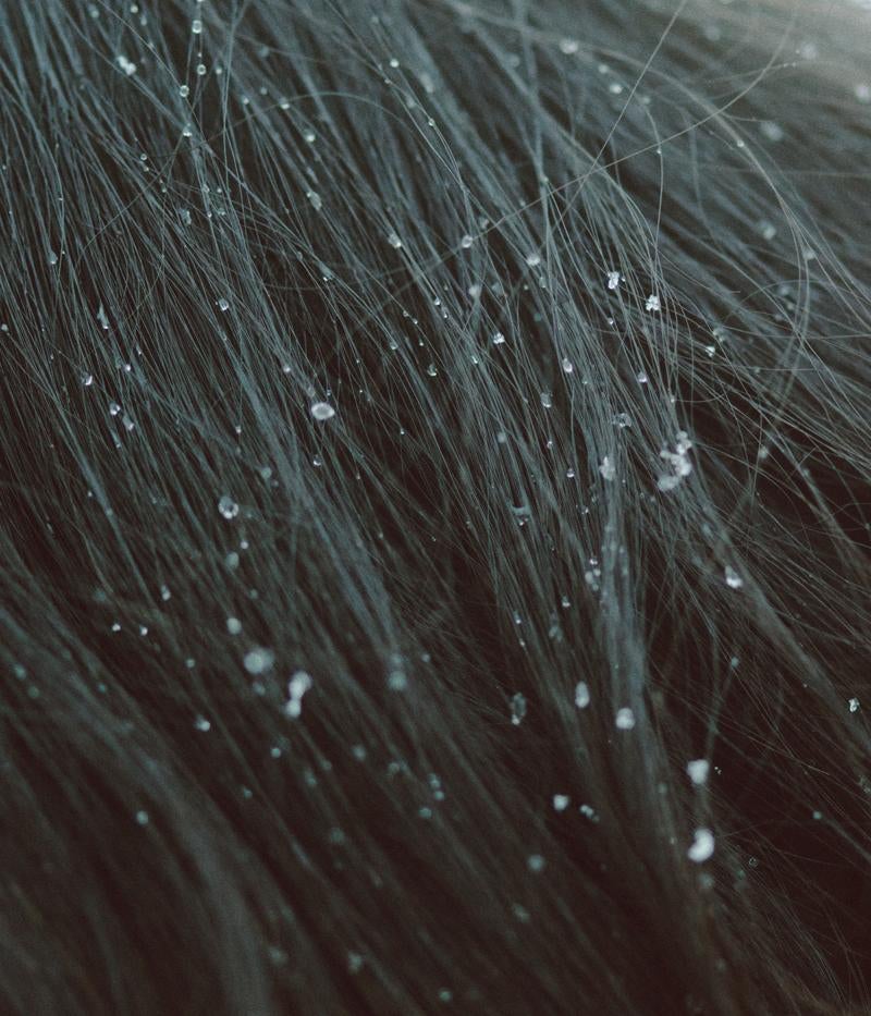 「髪に残る水滴」の写真