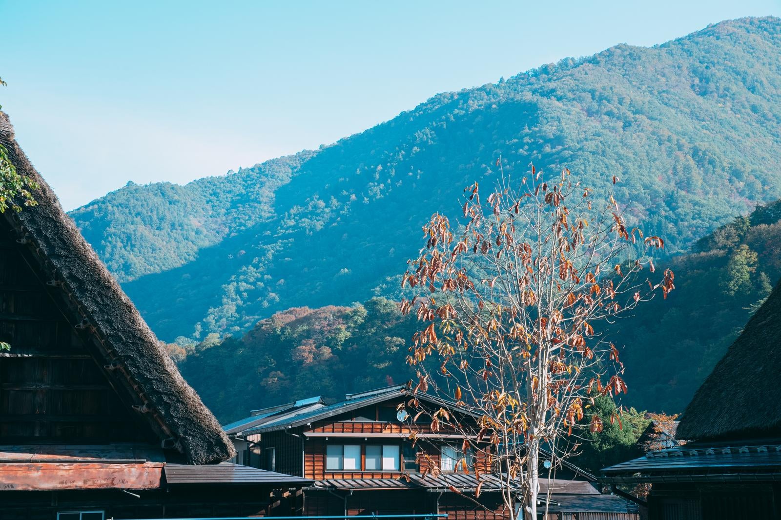 「岐阜県白川郷合掌集落での秋の空気」の写真