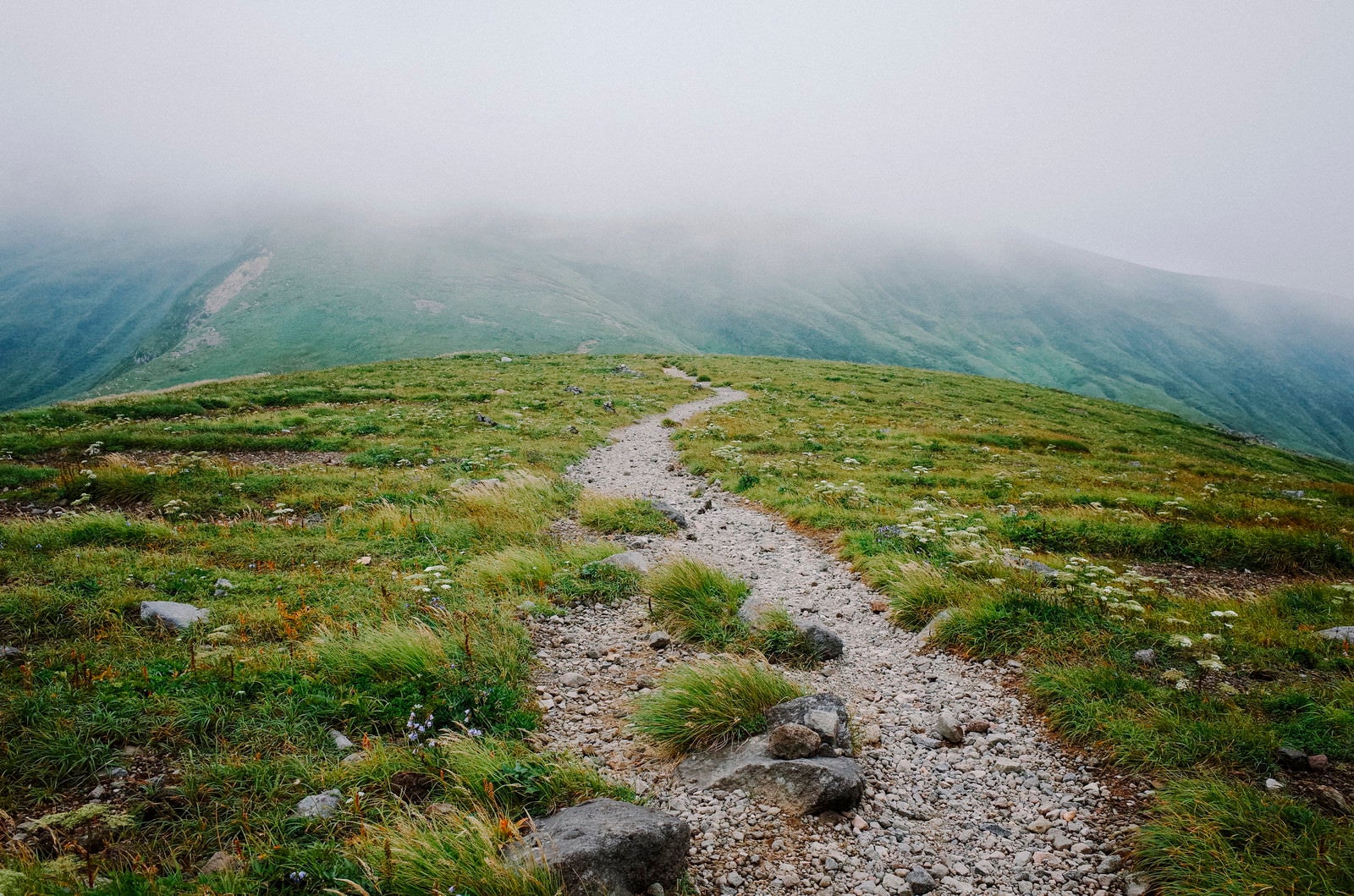 「霧に包まれた鳥海山登山道」の写真