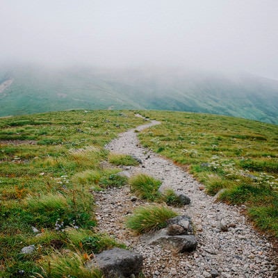 霧に包まれた鳥海山登山道の写真