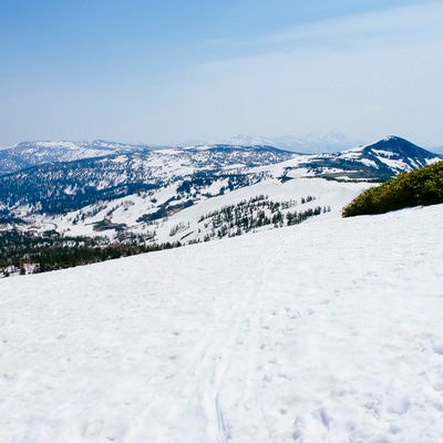 雪に覆われた八幡平裏岩手縦走路の風景の写真