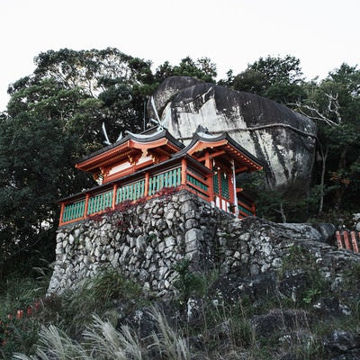 神倉神社 ゴトビキ岩の写真